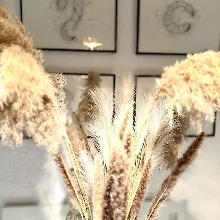 'the Breeze' *